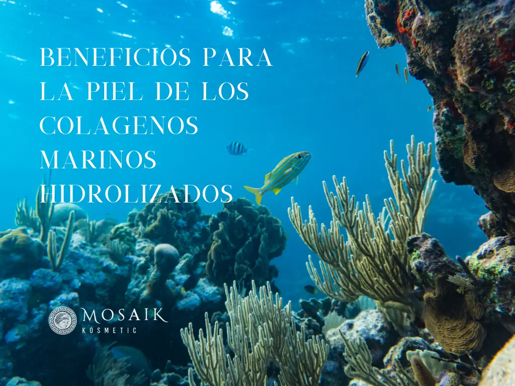 colagenos marinos hidrolizados mosaikosmetic