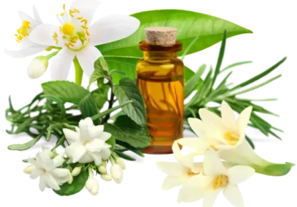 cosmetica-natural-tienda-online